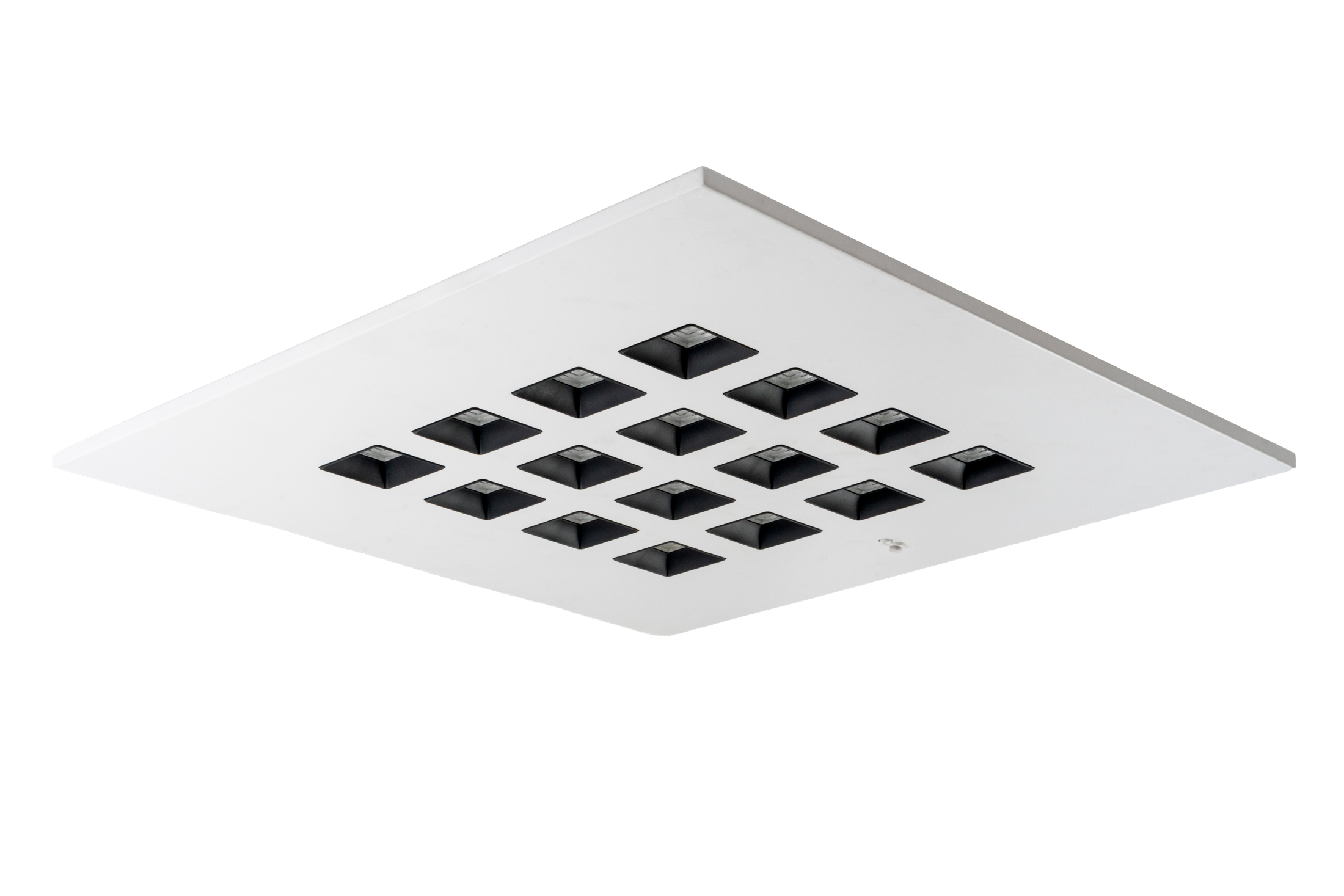 CHESS MASTER