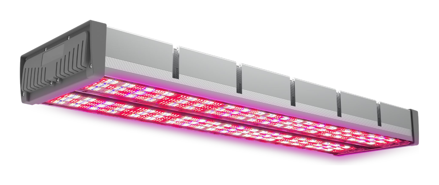 NGRO1200