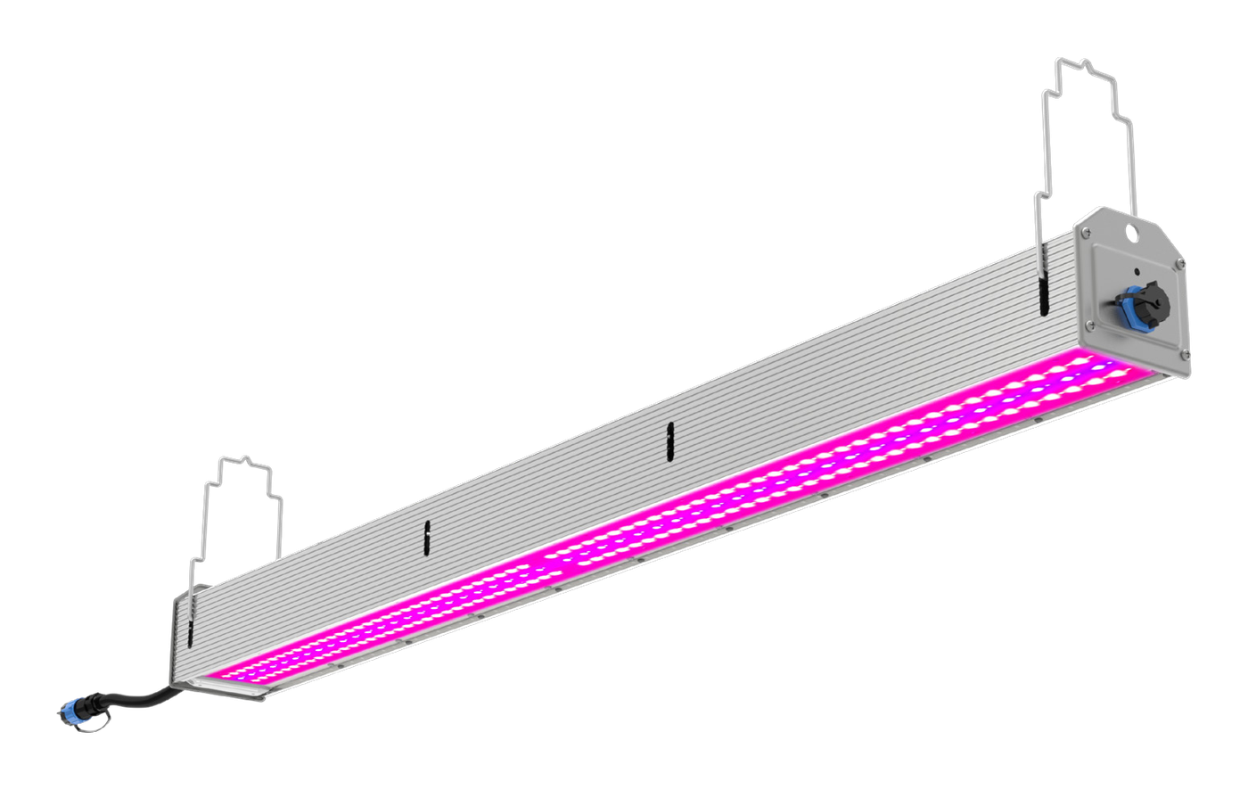NGRO240