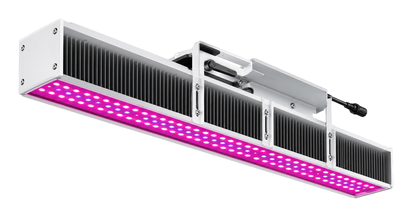 NGRO480
