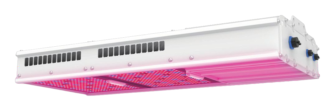 NGRO780