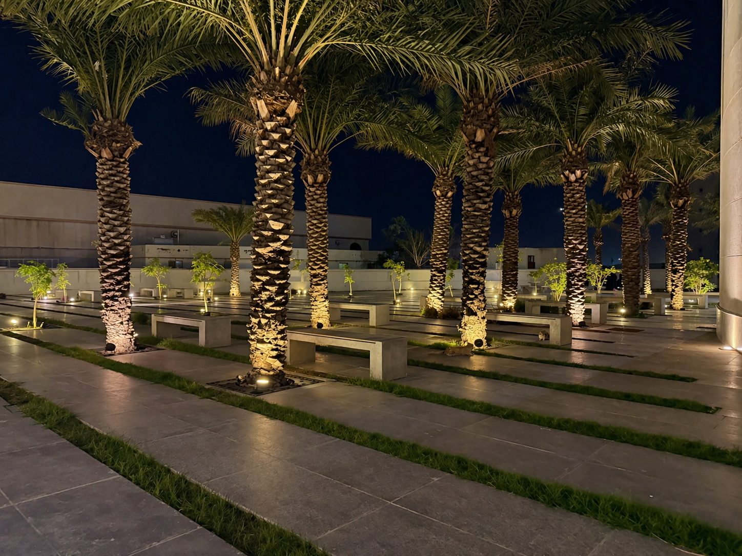 Dammam Library photo 2